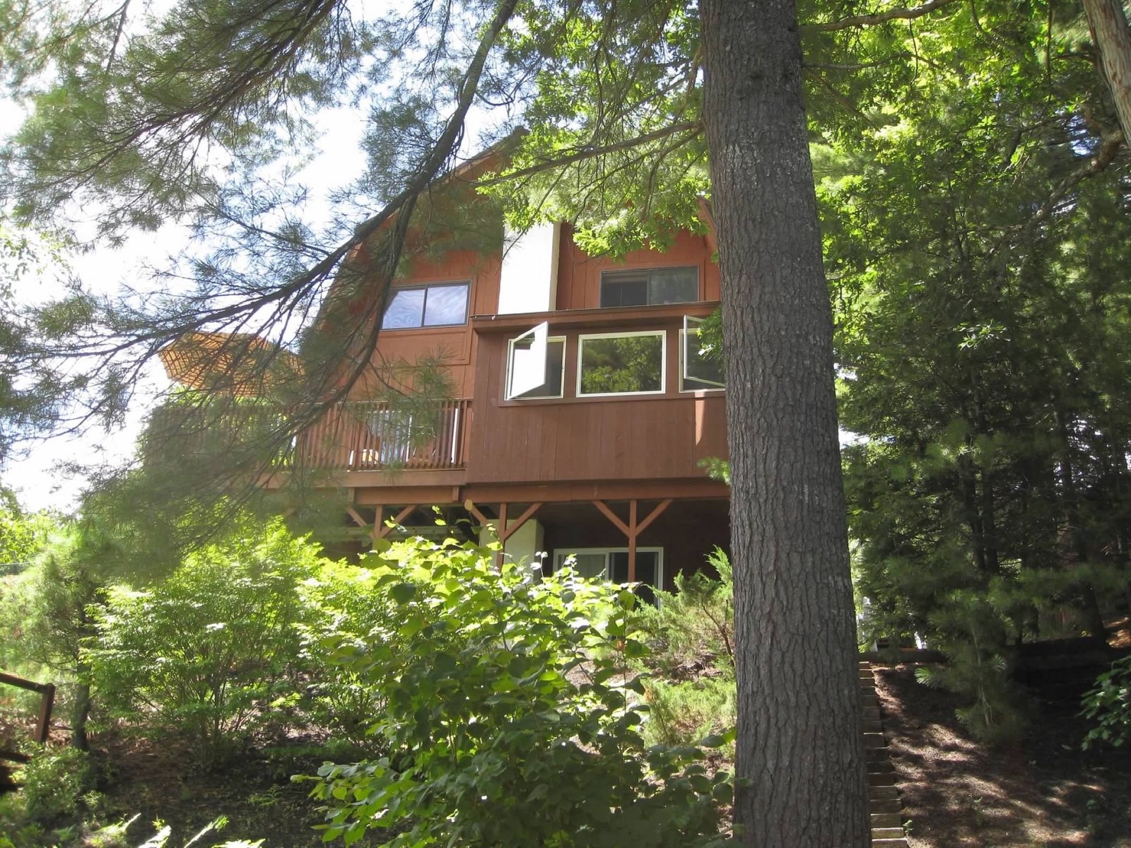 The Inn under the tall pines