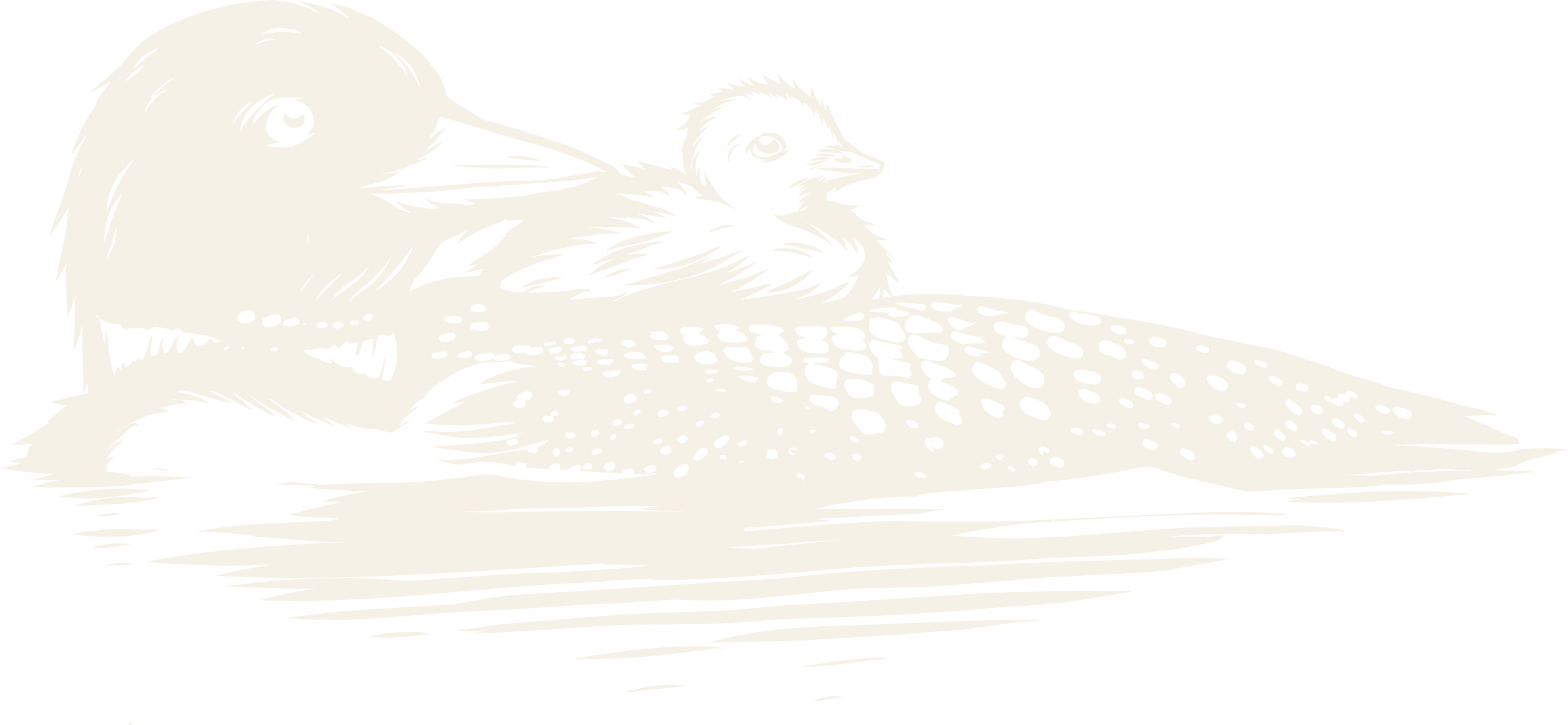A loon and her chick