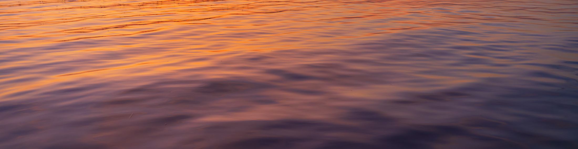 Golden light across the lake at evening